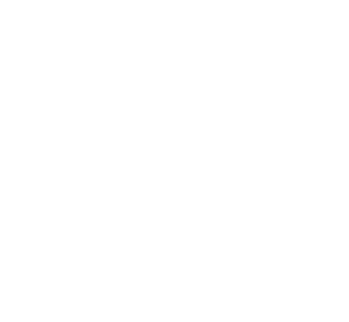 Florida Power & Light