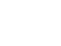 Netspend